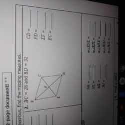 Unit 7 polygons & quadrilaterals homework 1 angles of polygons