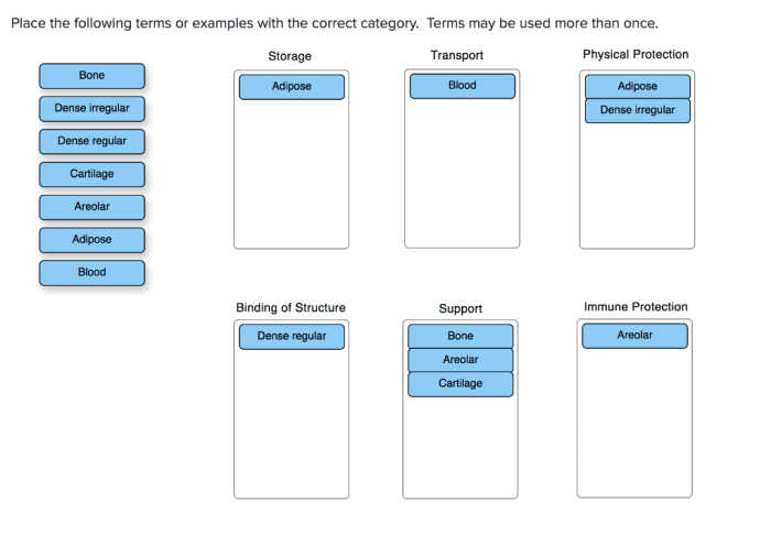 Place the following terms or examples with the correct category